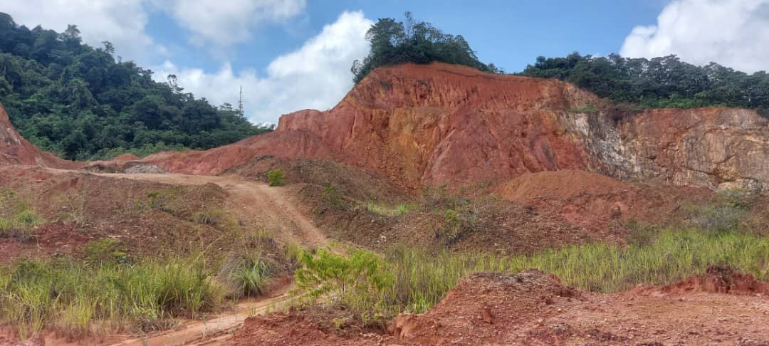 Gold and bauxite mining 10